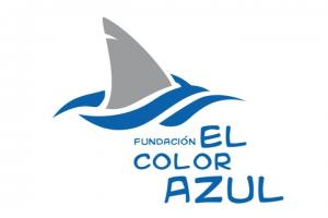 Fundación El Color Azul - Patrocinadores Festival Internacional de Guitarra